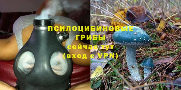 СК Зеленокумск