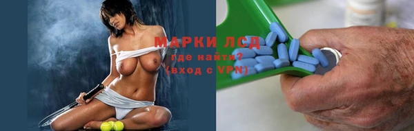 СК Зеленокумск
