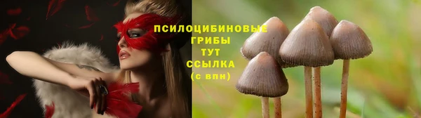 спайс Зерноград