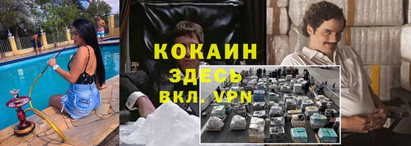 СК Зеленокумск