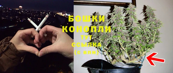СК Зеленокумск