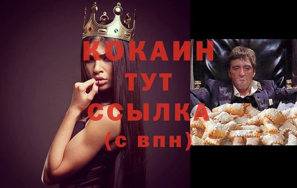 прущие крисы Зеленодольск