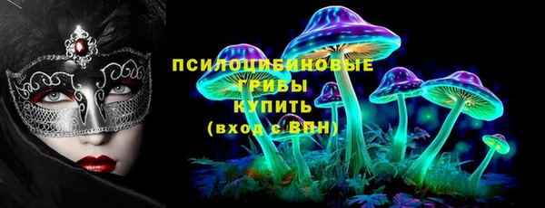 СК Зеленокумск