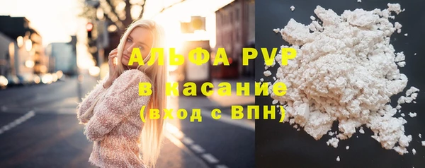 СК Зеленокумск